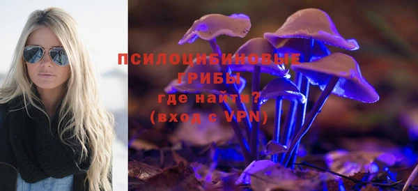 марки nbome Гусев