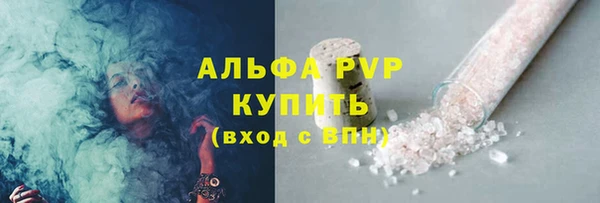 СК Моршанск