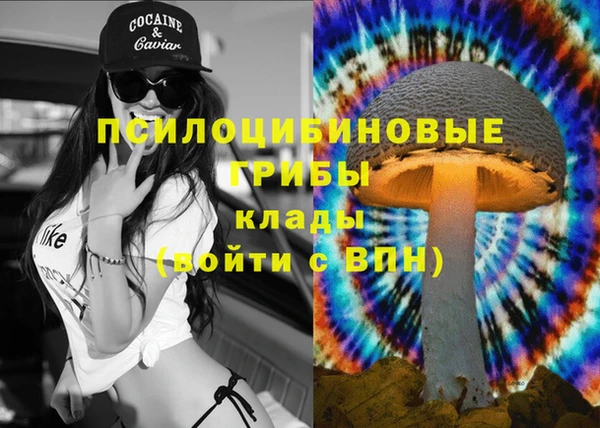 марки nbome Гусев